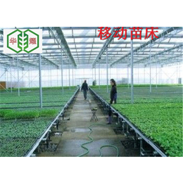 广东中山简易苗床移动苗床温室种植重要作用