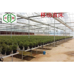 山东滨州现代化农业种植育苗床移动苗床华耀直接生产