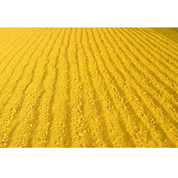 氧化铁黄厂商-地彩氧化铁黄(在线咨询)-山东氧化铁黄