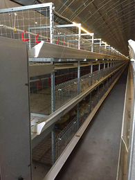 肉鸡笼生产厂家-禽翔畜牧(在线咨询)-莱西肉鸡笼