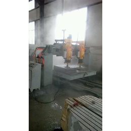 腾宇机械售后服务好(图)|两头钢板抛光机|福州连续抛光机