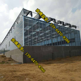 玻璃温室工程(图),玻璃温室大棚结构,汕头玻璃温室