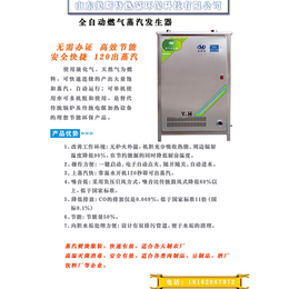 出蒸汽机器图片、出蒸汽机器、美斯特热源蒸汽发生器