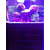 济南高新齐鲁软件园海水缸清洗缩略图4