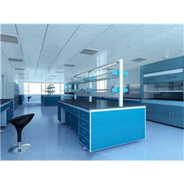 实验室设计-九瑞(在线咨询)-白城实验室