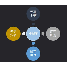 小程序那里做,小程序,义乌桂付(查看)