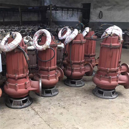 抽水泵价格(查看)_芜湖100WQ70-10-5.5潜污泵
