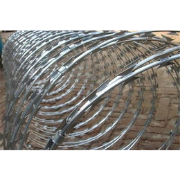 高铁防护刺丝滚笼定做-高铁防护刺丝滚笼-宏鸿丝网(图)
