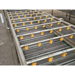 生产厂家-碳钢水平链板输送线-兴义水平链板输送线