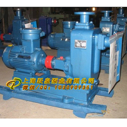 zw型自吸排污泵(图)|ZW32-9-30自吸泵|沧州自吸泵