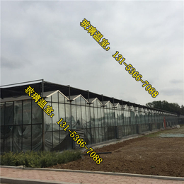 金盟温室(在线咨询)、温室大棚、农业温室大棚