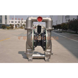 BQG140-0.3气动隔膜泵 不锈钢气动隔膜泵