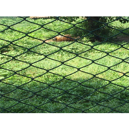 动物园防护网,动物园防护网优点,渤洋丝网(推荐商家)