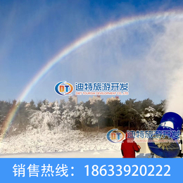 河北迪特造雪机厂家*户外大型造雪机