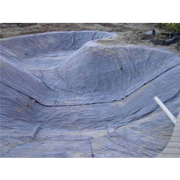 垃圾填埋场*防水毯,森泰环保,贵州防水毯