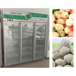 达硕厨房设备制造(多图),三门冷冻柜报价,三门冷冻柜