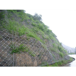山体滑坡防护网 绿色边坡防护网 防落石网