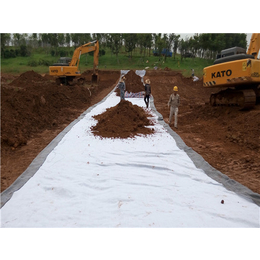 河道改造膨润土防水毯-唐能-河道改造膨润土防水毯厂家