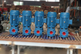 安庆管道泵-立式管道泵-ISG50-125管道泵