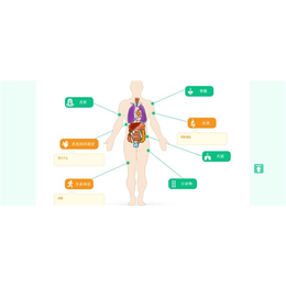 职业健康体检系统|硚口区健康体检系统|湖北联合创佳(查看)缩略图