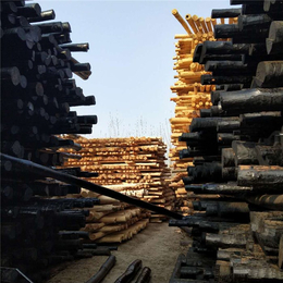防腐油木杆-油木杆-实力厂家 价格优惠(多图)