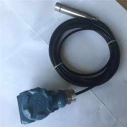 无锡拓蓝自动化公司-深圳导气电缆式液位变送器