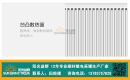 碳纤维电暖器价格-伊犁碳纤维电暖器-阳光益群(图)