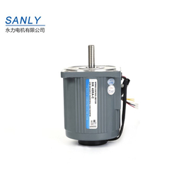 微型电机_SANLY永力电机_台湾微型电机