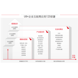 乐柠(图)-手机软件开发-漳州软件开发