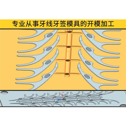 金护牙(图)_牙线棒模具设计与制造_牙线棒模具