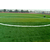 邯郸市学校足球场草坪人造草坪每平米价格缩略图3