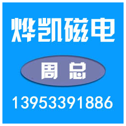 烨凯磁电(图)、上海除铁器厂家电话、上海除铁器