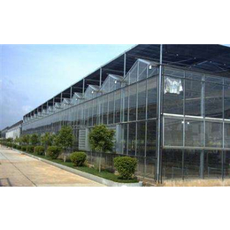玻璃温室效果图,安阳盛丰温室工程,广西玻璃温室
