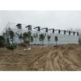 玻璃温室建设-玻璃温室-青州瀚洋农业(多图)