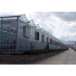 坊子温室,青州鑫华生态农业,玻璃温室