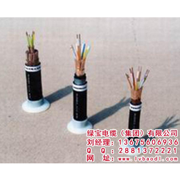 绿宝电缆（集团）(在线咨询)、广东控制电缆、矿用控制电缆