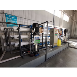 天津瑞尔环保-工业纯水设备-工业纯水设备公司