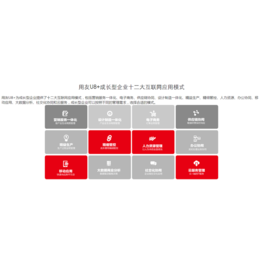 软件开发公司-福州软件开发-乐柠