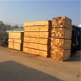 中林木材加工厂(图)、建筑木方多少钱一方、保定建筑木方