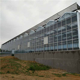 金盟温室|玻璃温室|玻璃温室 造价
