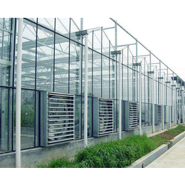 亳州玻璃大棚-合肥小农人大棚厂-玻璃大棚每平米造价