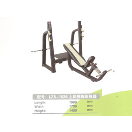 下斜推胸训练器|林动体育用品|LZX-1027下斜推胸训练器