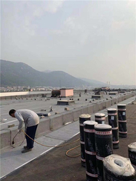 苏州屋顶SBS防水卷材-喜盛防水材料