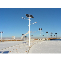 内蒙古新农村建设6米60W太阳能路灯厂家 路灯维修配件
