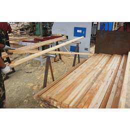 铁杉建筑木材价格、德州建筑木材、创亿木材(在线咨询)