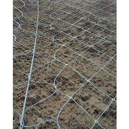 山体滑坡防护网安装|土方溜塌防护网|西安山体滑坡防护网