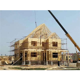 木结构房屋建设、万林木屋厂家(在线咨询)、新乡木结构房屋