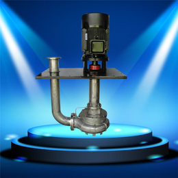 立式液下泵泵体|南平液下泵|耐腐蚀泵业(图)