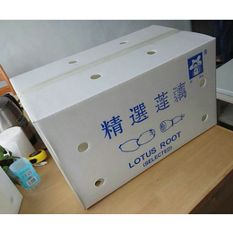 蔬菜包装箱生产厂家_弘特包装(在线咨询)_天津包装箱