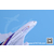 金属飞机模型空客A380泰国航空缩略图4